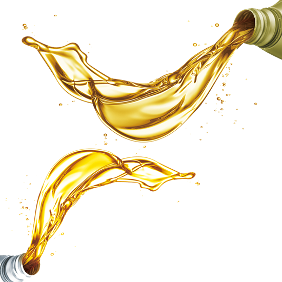 Picture of Car Fluid Check